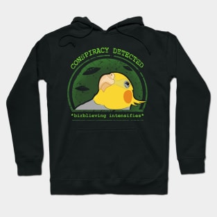 birblieving intensifies Hoodie